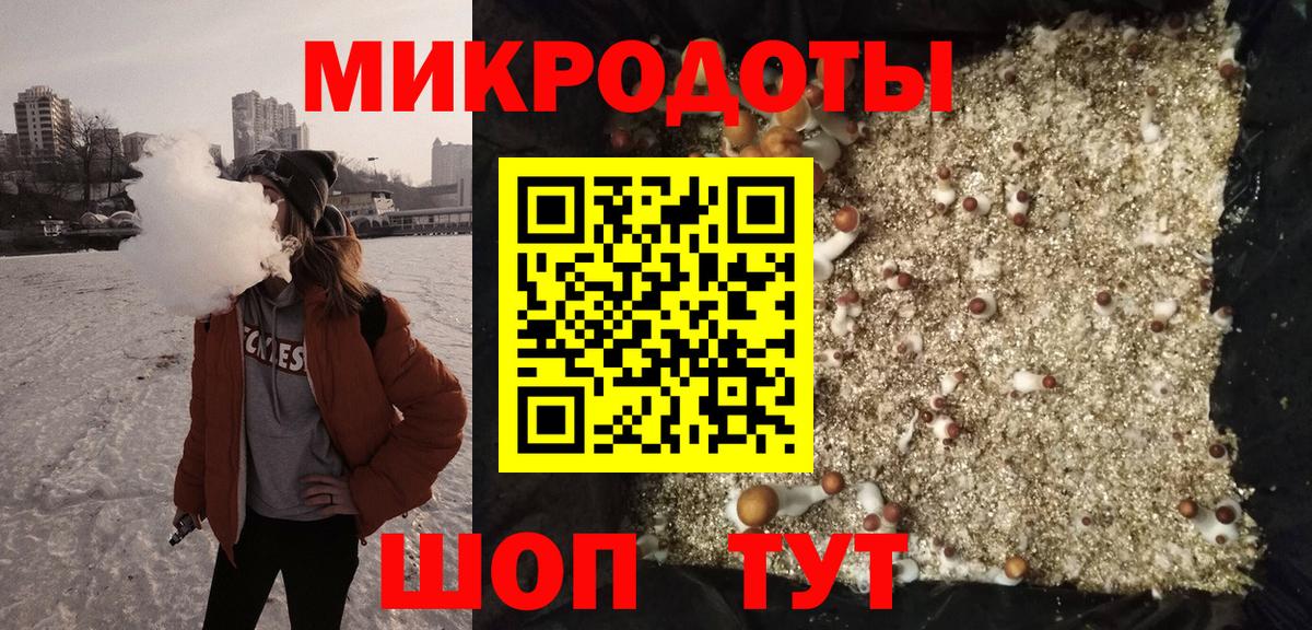 Кирово-Чепецк  Псилоцибиновые грибы мицелий  Вход с VPN 