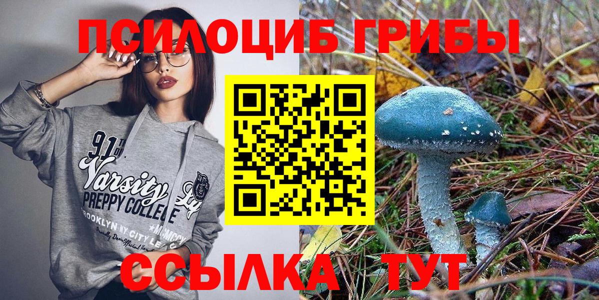 Псилоцибиновые грибы Psilocybine cubensis Кирово-Чепецк